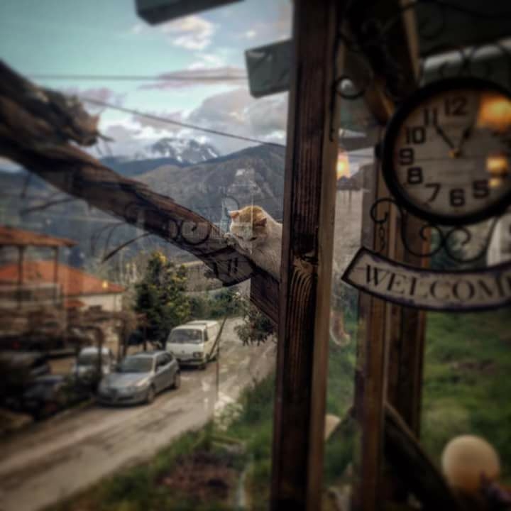 Έκθεση Τοπικών Καλλιτεχνών